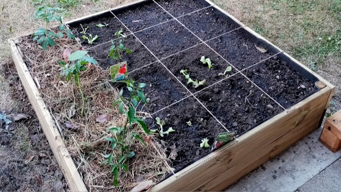 Carré potager en bois 120x120